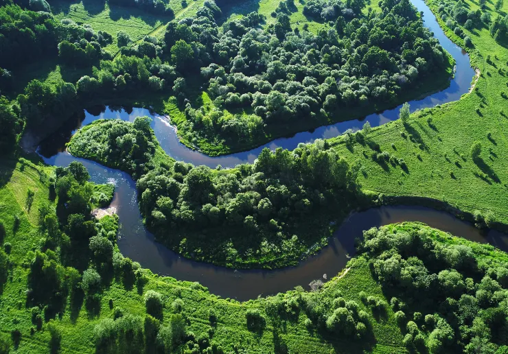 Adoptuj Potok